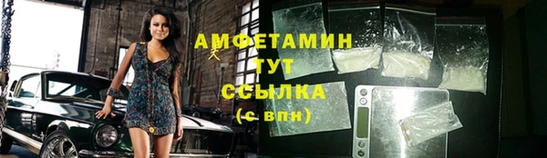 молекула духа Вяземский